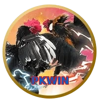 PKWIN