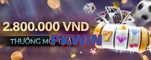PKWIN
