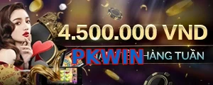 PKWIN