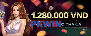 PKWIN