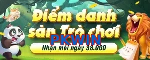 PKWIN