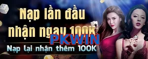 PKWIN